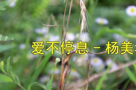 爱你永远不停息原唱