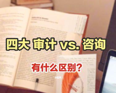 审计专报四大内容