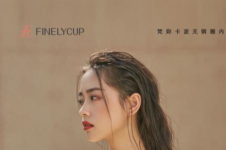 梵卡奇是哪国的