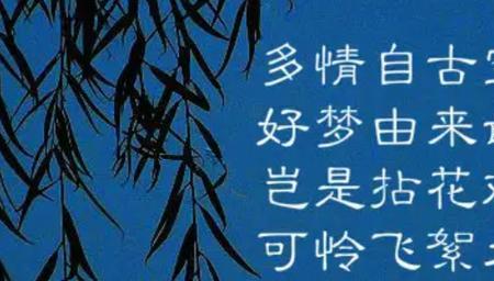 明月如风出自谁的诗句