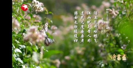 形容家里花漂亮的诗词