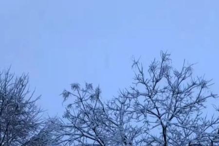 望夜来城外雪茫茫什么意思