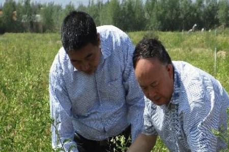 世界主要种子繁育基地