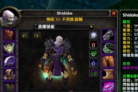 盗贼s3套装效果