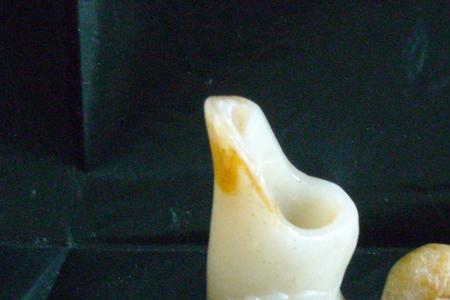 玉鸟成熟分笼好还是合笼好
