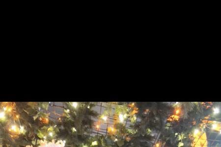 防弹少年团的金泰亨喜欢什么花
