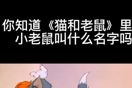 乔尼的老鼠叫什么名字