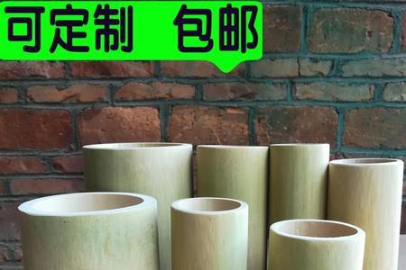 大青筒竹是什么品种