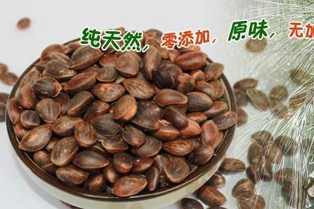 松子是果实还是种子