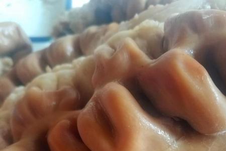 驴套肠是什么部位