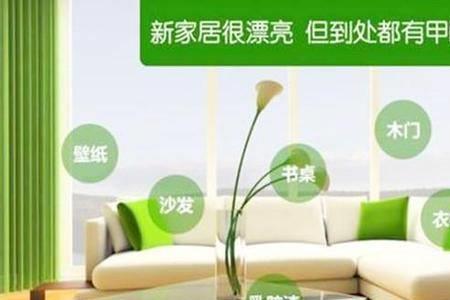 容森岩真的能去甲醛吗