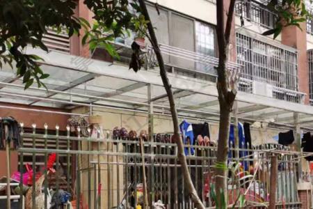 一楼带的院子有产权可以搭建吗