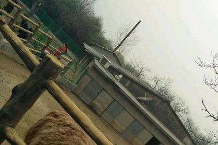 西安野生动物园是第几大动物园
