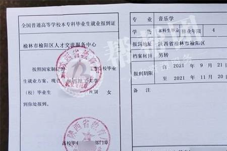 报到证编号在报到证哪个位置