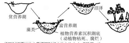 湖泊的演化过程