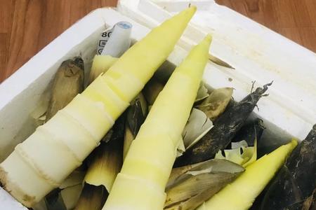 切好的笋片在冰箱里能放多久