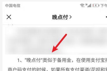 使用晚点付退款退到哪