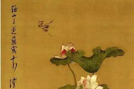 荷花中的作者对画家的什么之情