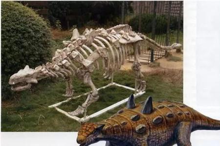 犬齿甲龙是什么意思