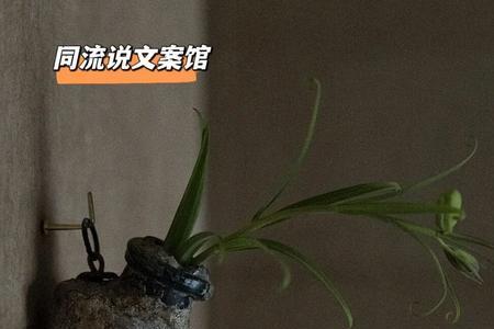 下雨霸气文案短句干净