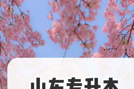 专升本平行志愿和高考一样吗