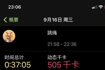 跑步大基数 是什么意思