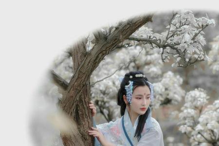 梨花纷飞意思