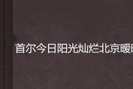 暧昧无罪作者