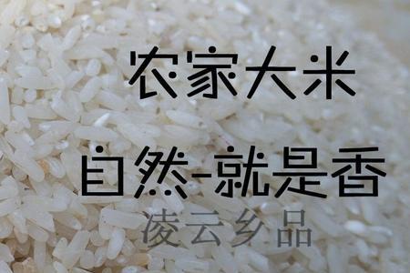 大米非转基因检测执行标准