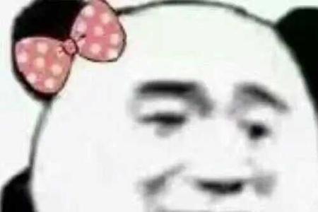 此处省略五百字是什么意思