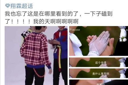 戏影是什么意思