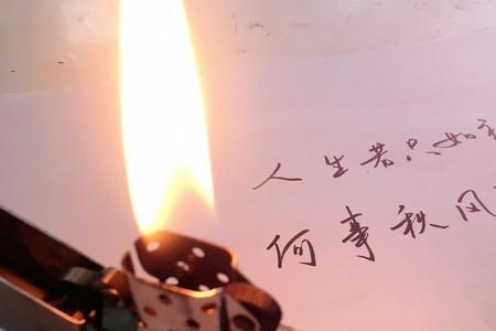 皆是过往什么意思