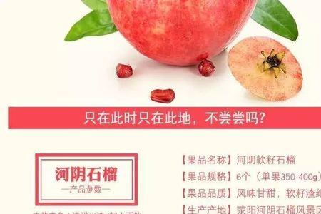 2022河阴石榴节开幕时间