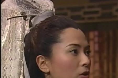 寻秦记陶总管扮演者