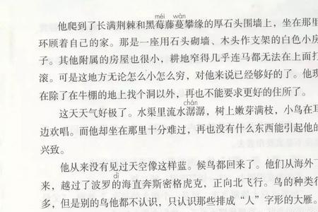 骑鹅旅行记旅行部分概括