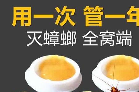 蟑螂药拌什么饵料好