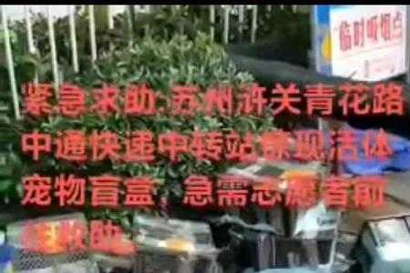 快递发活体怎么发