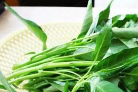 空心菜是蒜苔吗