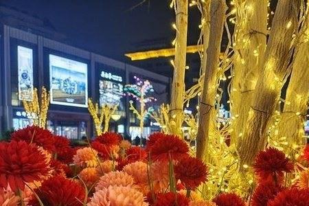 iqoo10和iqoo10pro区别拍照