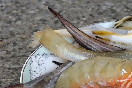 一烧就化的海鱼