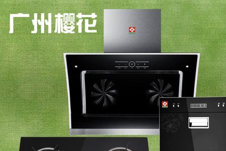 樱花吸顶式油烟机有几种