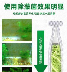 什么东西可以去除鱼缸中的绿藻