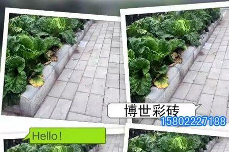小院面包砖铺设方法