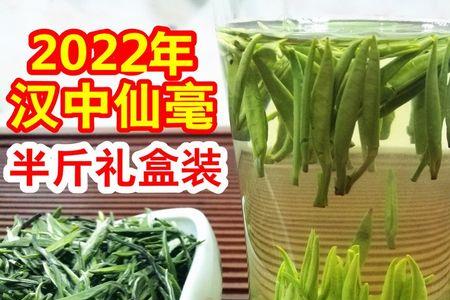 汉中春茶什么时候买合适