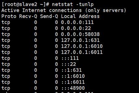 linux检查端口命令