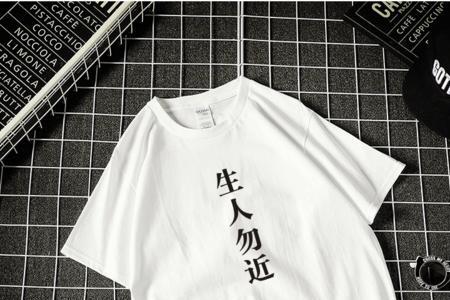 生人勿近的上一句是什么