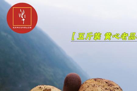 富硒土豆产地有哪些