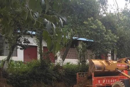 汽车驾驶证可以开铲车吗