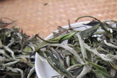 寿眉白茶保质期多久