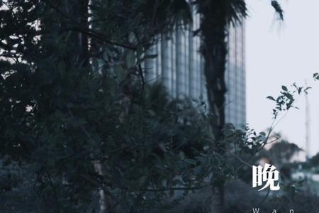 晚风叫什么名字